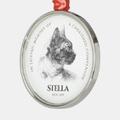Geheugen van een Beloved Pet Memorial Metalen Ornament (Links)