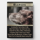 Geheugen van een verloren pakket fotoplaat (voorkant)