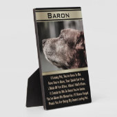 Geheugen van een verloren pakket fotoplaat (Zijkant)