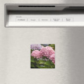 Geheugen van... magneet (Insitu (Vaatwasser))