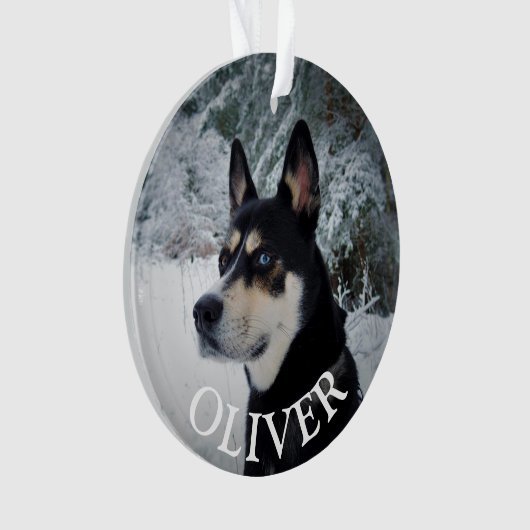 Geheugen van Pet Dog Memorial Kerstmis Keepslag Ornament (voorkant)