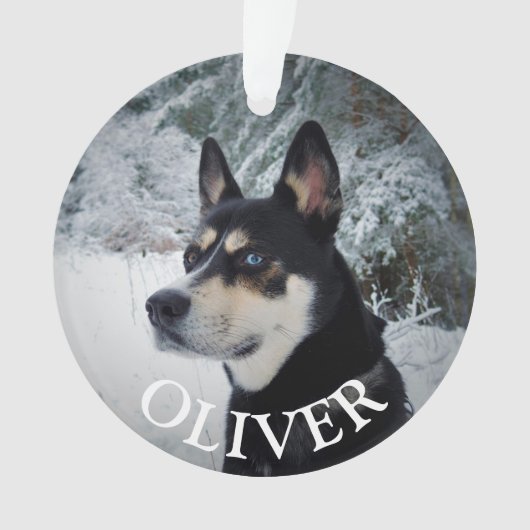 Geheugen van Pet Dog Memorial Kerstmis Keepslag Ornament (voorkant)