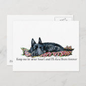 Geheugen van Scottish Terrier Briefkaart (Voorkant / Achterkant)
