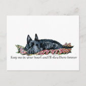 Geheugen van Scottish Terrier Briefkaart (Voorkant)