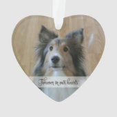 Geheugen - Verlies van Pet - Aangepaste foto/naam Ornament (achterkant)