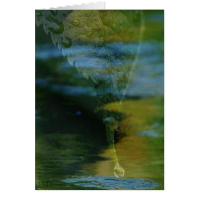 geheugenkaart (Voorkant)