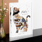 Geheugenkat Foto Collage Pet Memorial