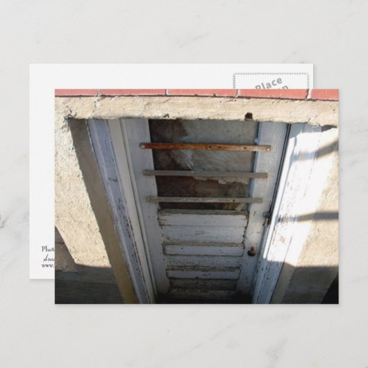 Gehoopt Briefkaart (Voorkant / Achterkant)