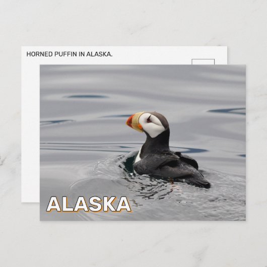 Gehoornde papegaaiduiker in Alaska Briefkaart (Voorkant / Achterkant)