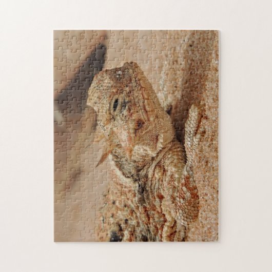 Gehoornhagedis Legpuzzel (Verticaal)