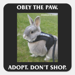 Gehoorzaam de Paw Sticker