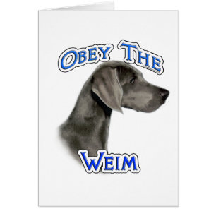 Gehoorzaam de Weimaraner