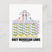 Gehoorzaam Mendelische wetten (Dihybride Kruiserwt Briefkaart (Voorkant)
