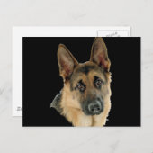 Gehouden van & Beschermd door een Duitse herder Briefkaart (Voorkant / Achterkant)