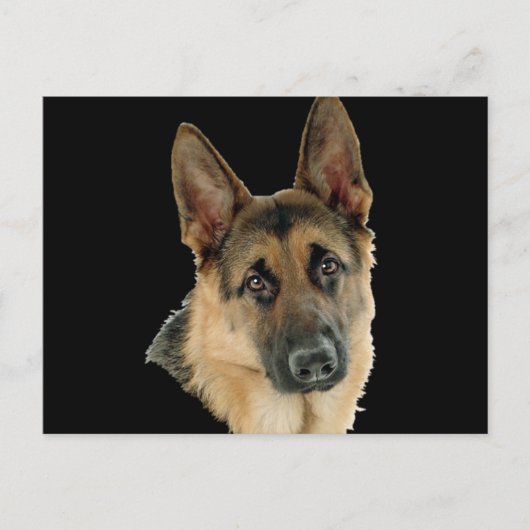 Gehouden van & Beschermd door een Duitse herder Briefkaart (Voorkant)