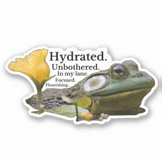 Gehydrateerd. - Amerikaanse Bullfrog Sticker (Voorkant)