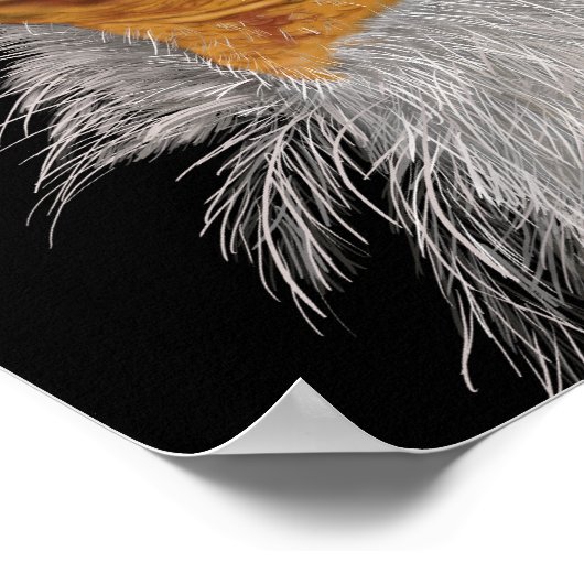 geïllustreerd Egyptische cultuur Poster (Hoek)