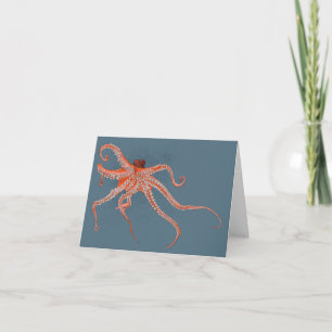geïllustreerd octopus kaart