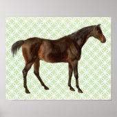 Geïllustreerd Paard Retro Art Poster (Voorkant)