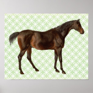  Geïllustreerd Paard Retro Art Poster