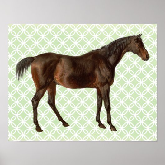  Geïllustreerd Paard Retro Art Poster (Voorkant)