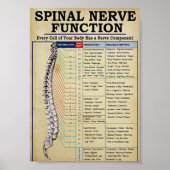  geïllustreerd poster (Voorkant)