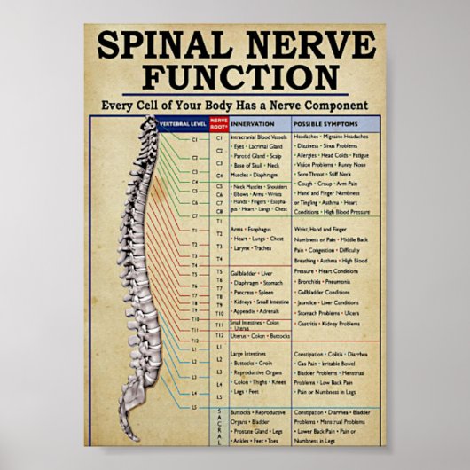 geïllustreerd poster (Voorkant)