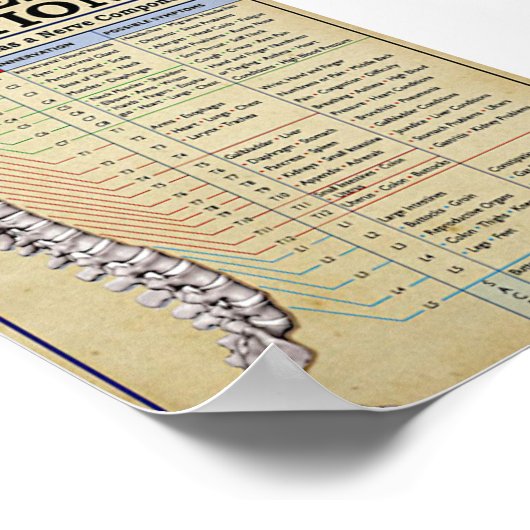  geïllustreerd poster (Hoek)