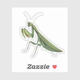 Geïllustreerde bidsprinkhaan sticker