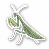 Geïllustreerde bidsprinkhaan sticker (Voorkant)