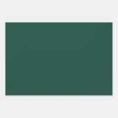 Geïllustreerde Christmas Tree Green & Pink Wrappin Inpakpapier Vel (Voorkant 2)