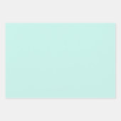 Geïllustreerde Coquette Bow Modern Mint Gift Wrap Inpakpapier Vel (Voorkant 2)