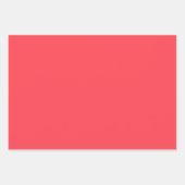 Geïllustreerde Coquette Bow Modern Pink Gift Wrap Inpakpapier Vel (Voorkant 3)