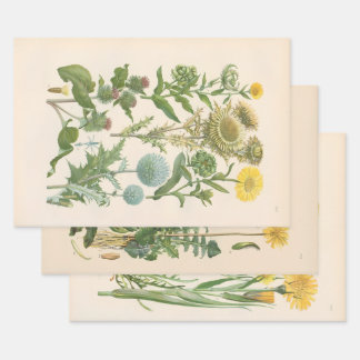 Geïllustreerde Flora van Centraal-Europa door Gust Inpakpapier Vel