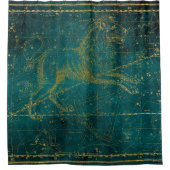  geïllustreerde Green & Gold Lion Star-kaart Douchegordijn (Voorkant)