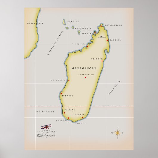 Geïllustreerde kaart van Madagaskar Poster (Voorkant)