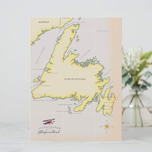 Geïllustreerde kaart van Newfoundland. (Staand voorkant)