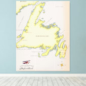 Geïllustreerde kaart van Newfoundland. Canvas Afdruk (Insitu (Houten vloer))