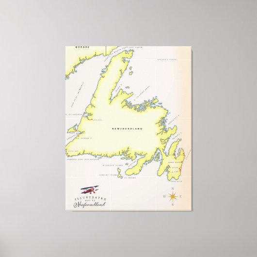 Geïllustreerde kaart van Newfoundland. Canvas Afdruk (Voorkant)