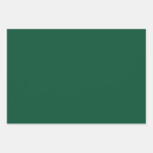 Geïllustreerde Kerst Holly Rood & Groen Wrapping Inpakpapier Vel (Voorkant 3)