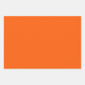 Geïllustreerde Kerst Holly Rood & Groen Wrapping Inpakpapier Vel (Voorkant 2)