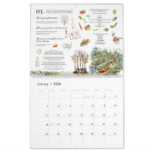 Geïllustreerde maandelijkse homesteading taken kalender (Jan 2026)