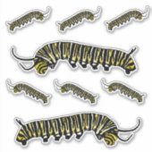 Geïllustreerde Monarch Vlinder Caterpillar Sticker (Voorkant)
