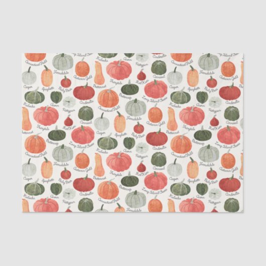 Geïllustreerde pompoentypen tissuepapier (Voorkant)