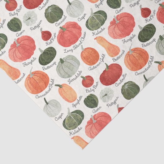 Geïllustreerde pompoentypen tissuepapier (Detail)