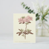 Geïllustreerde Rododendron met Stippenblad Briefkaart (Staand voorkant)