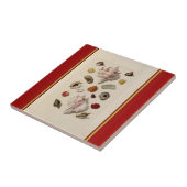  geïllustreerde Seashell Tegel Tegeltje (Zijkant)