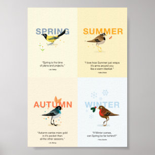 geïllustreerde seizoensvogels met koersen poster
