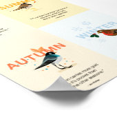geïllustreerde seizoensvogels met koersen poster (Hoek)
