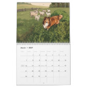 Geïllustreerde Sheltie Kalender (Mar 2027)